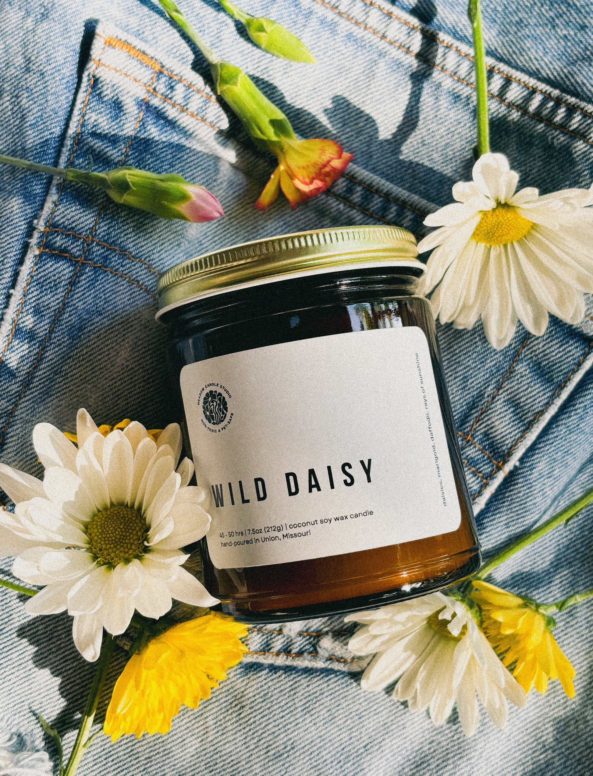 wild daisy