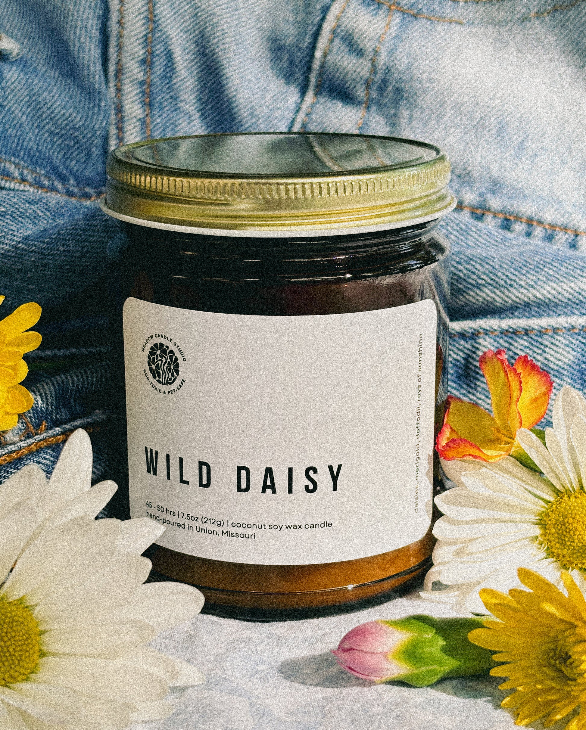 wild daisy