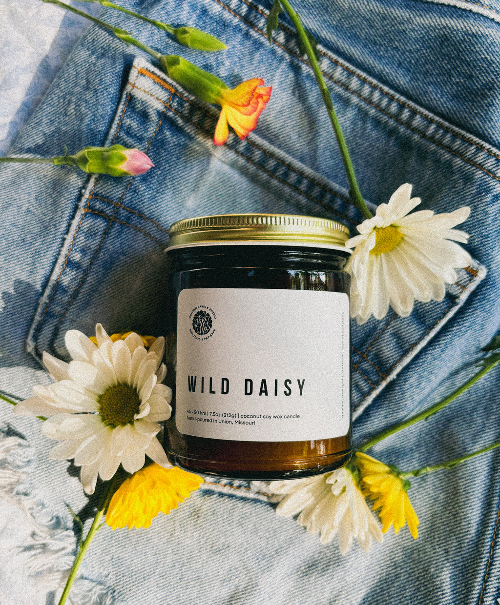 wild daisy