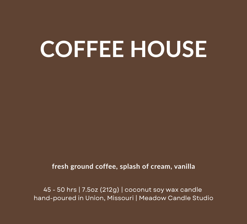 daily brew bundle