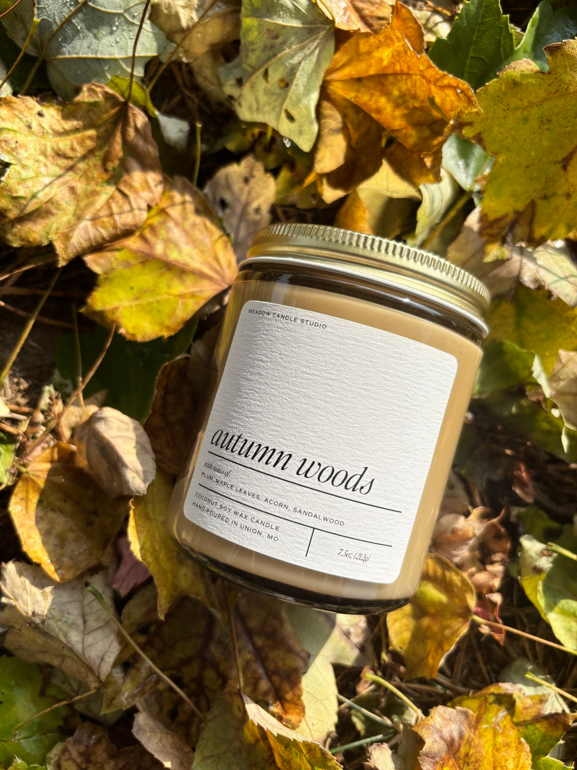 autumn woods